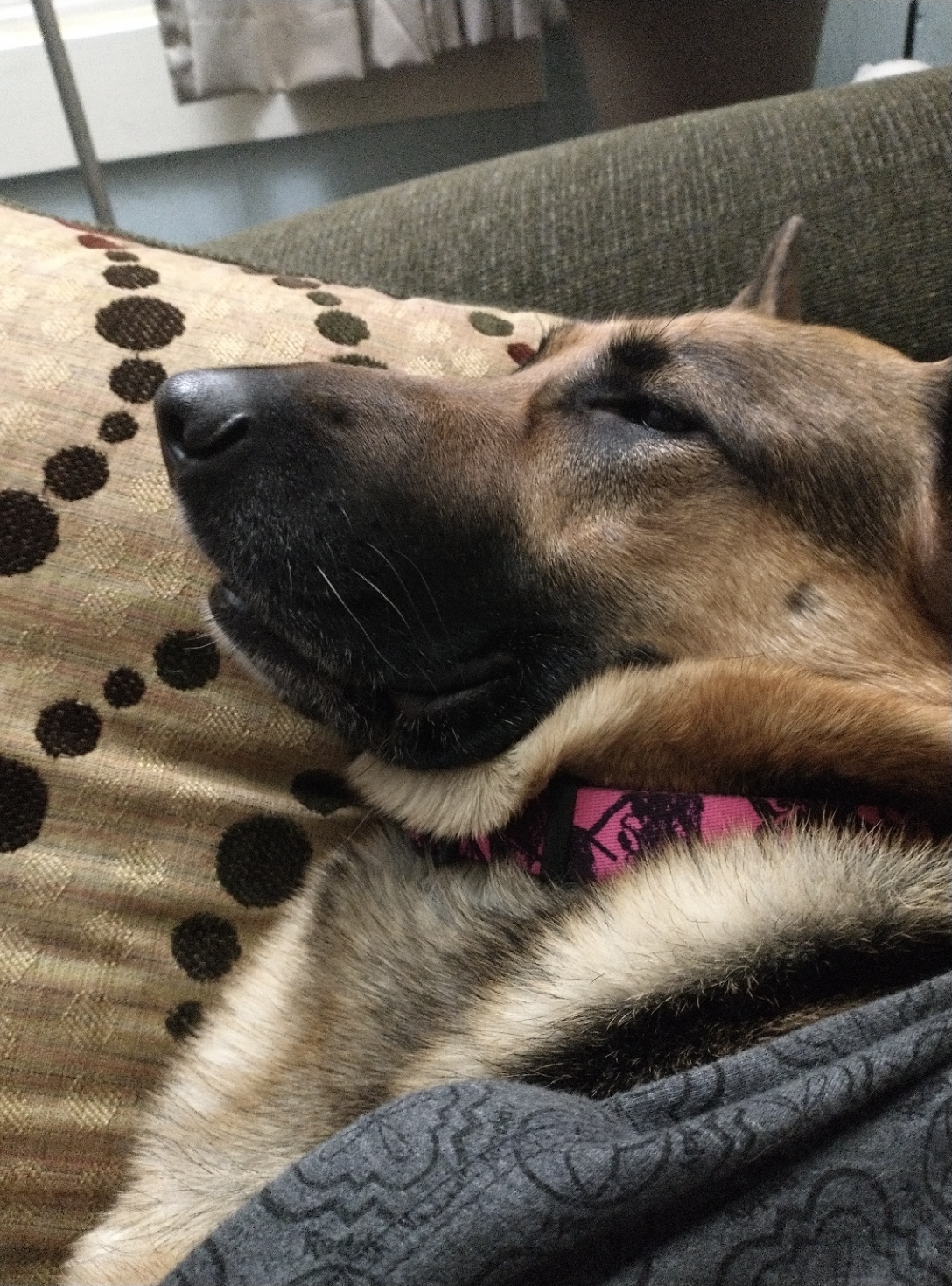 Authenticity, what is it really? pt. 2