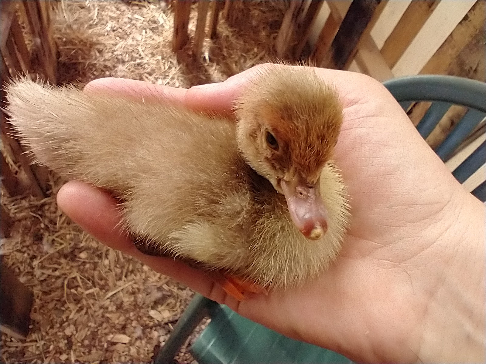 Authenticity, how to BE: pt. 1