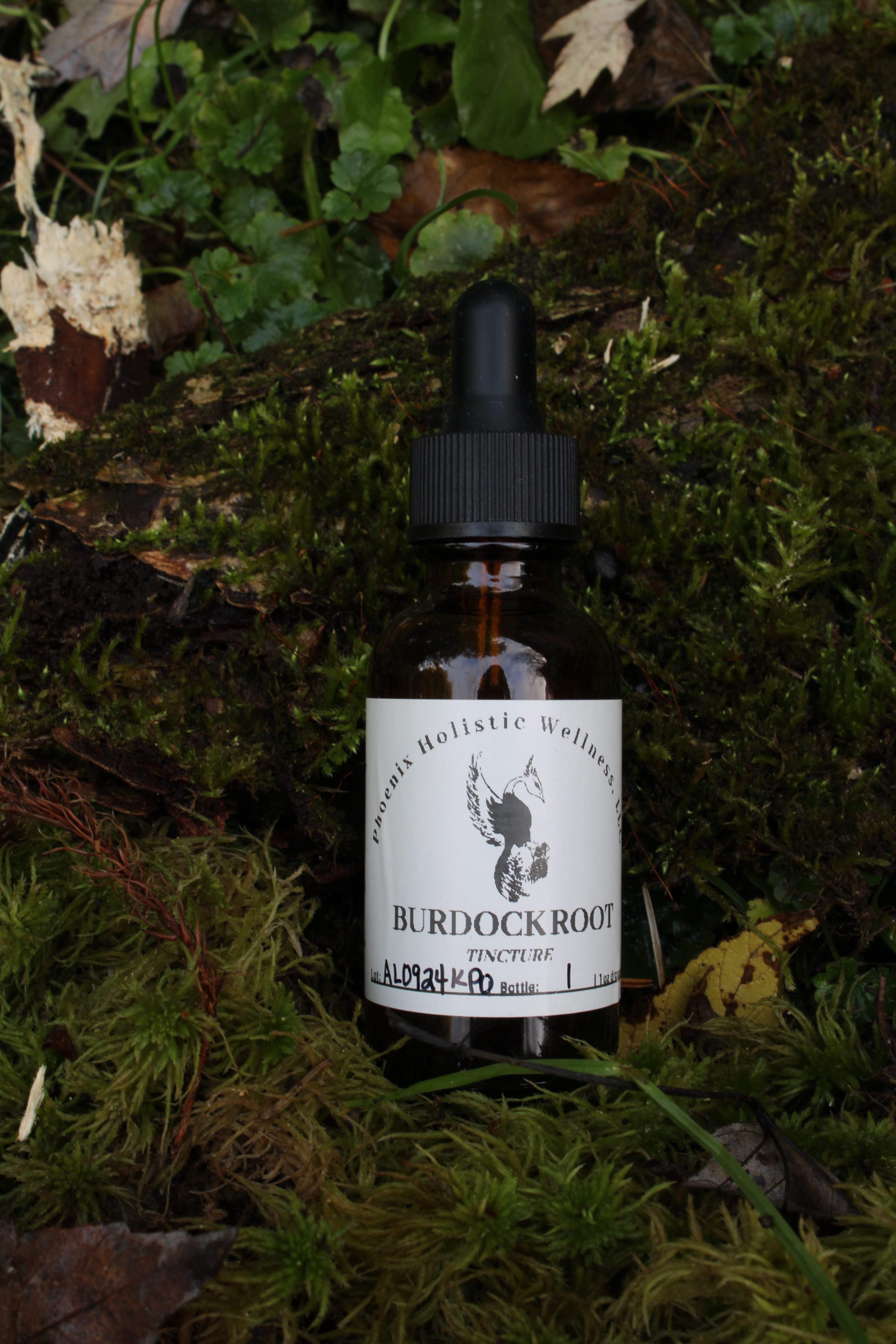 Burdock Root Tincture- 1oz - Image 1