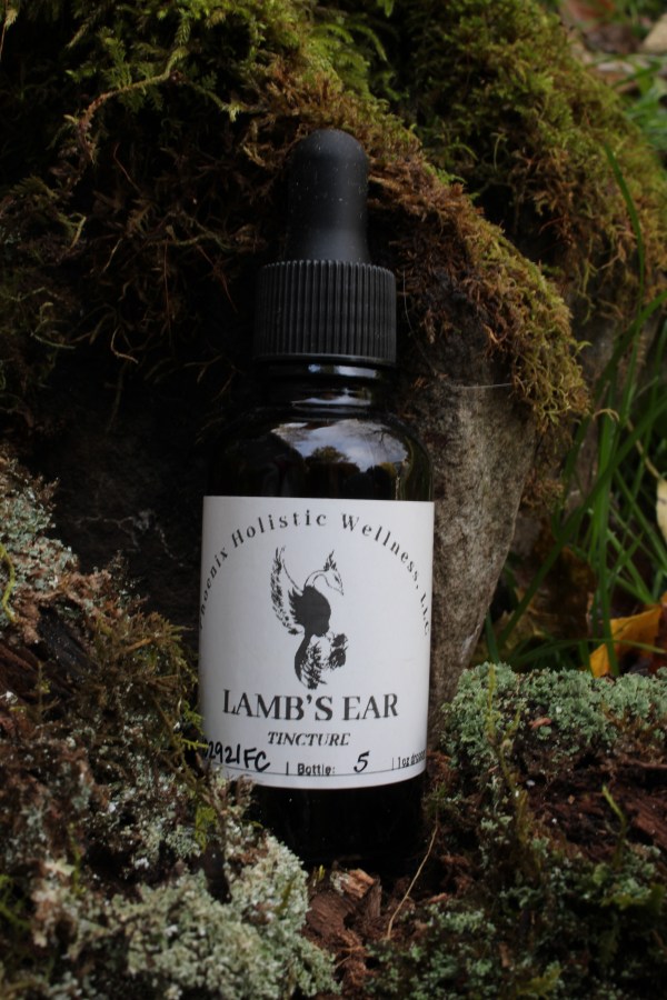 Lamb's Ear Tincture- 1oz