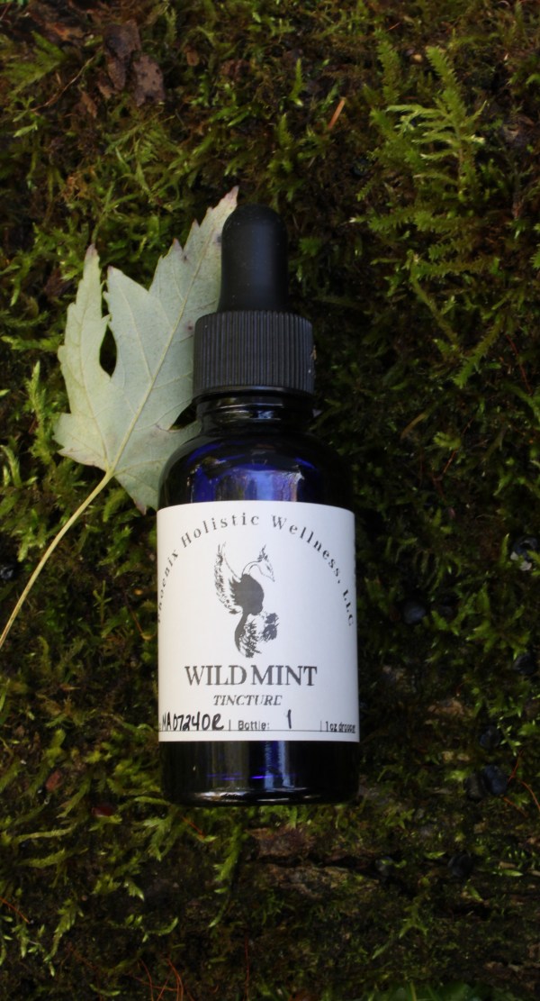 Wild Mint Tincture- 1oz