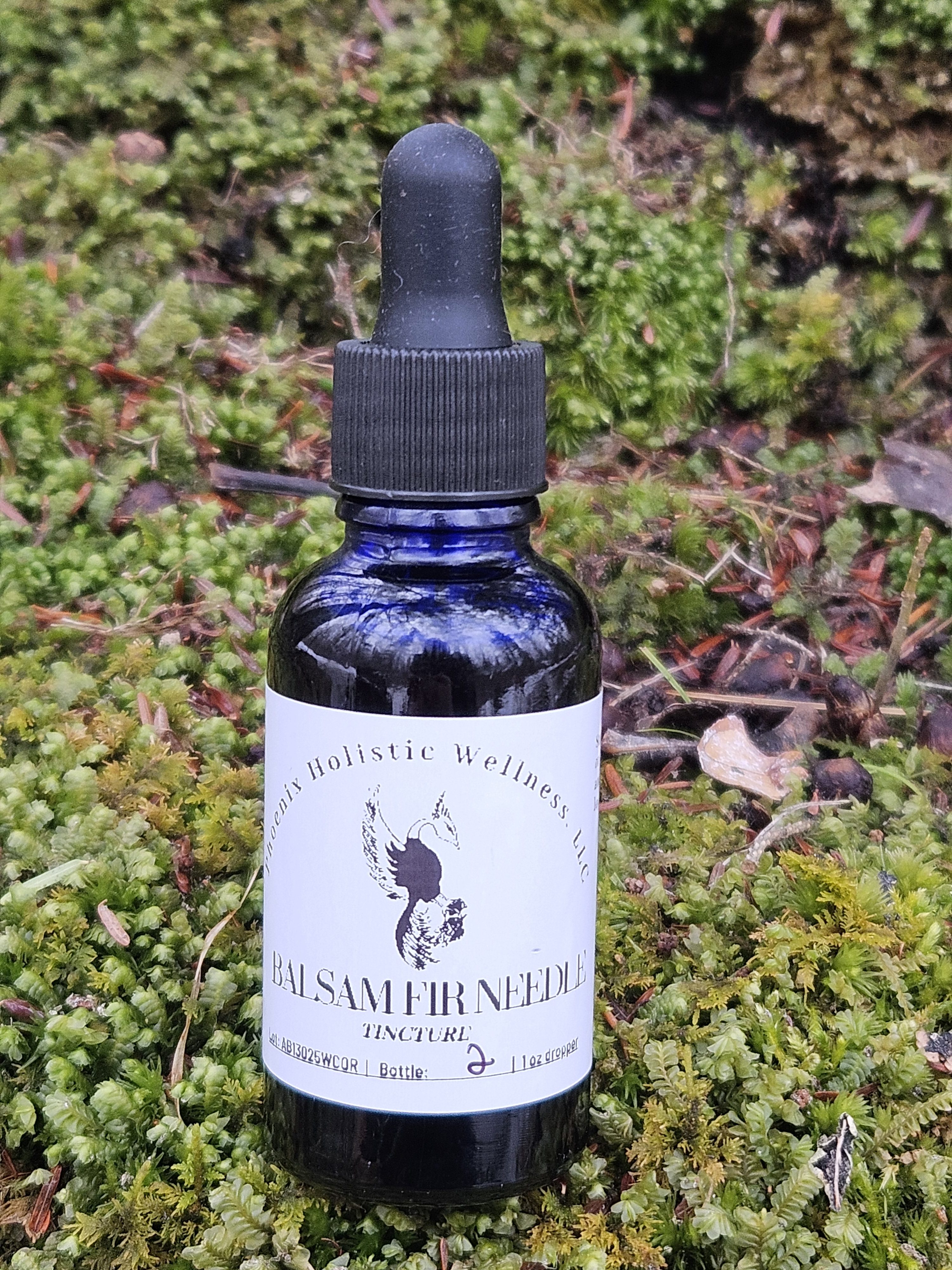 Balsam Fir Tincture- 1oz - Image 1