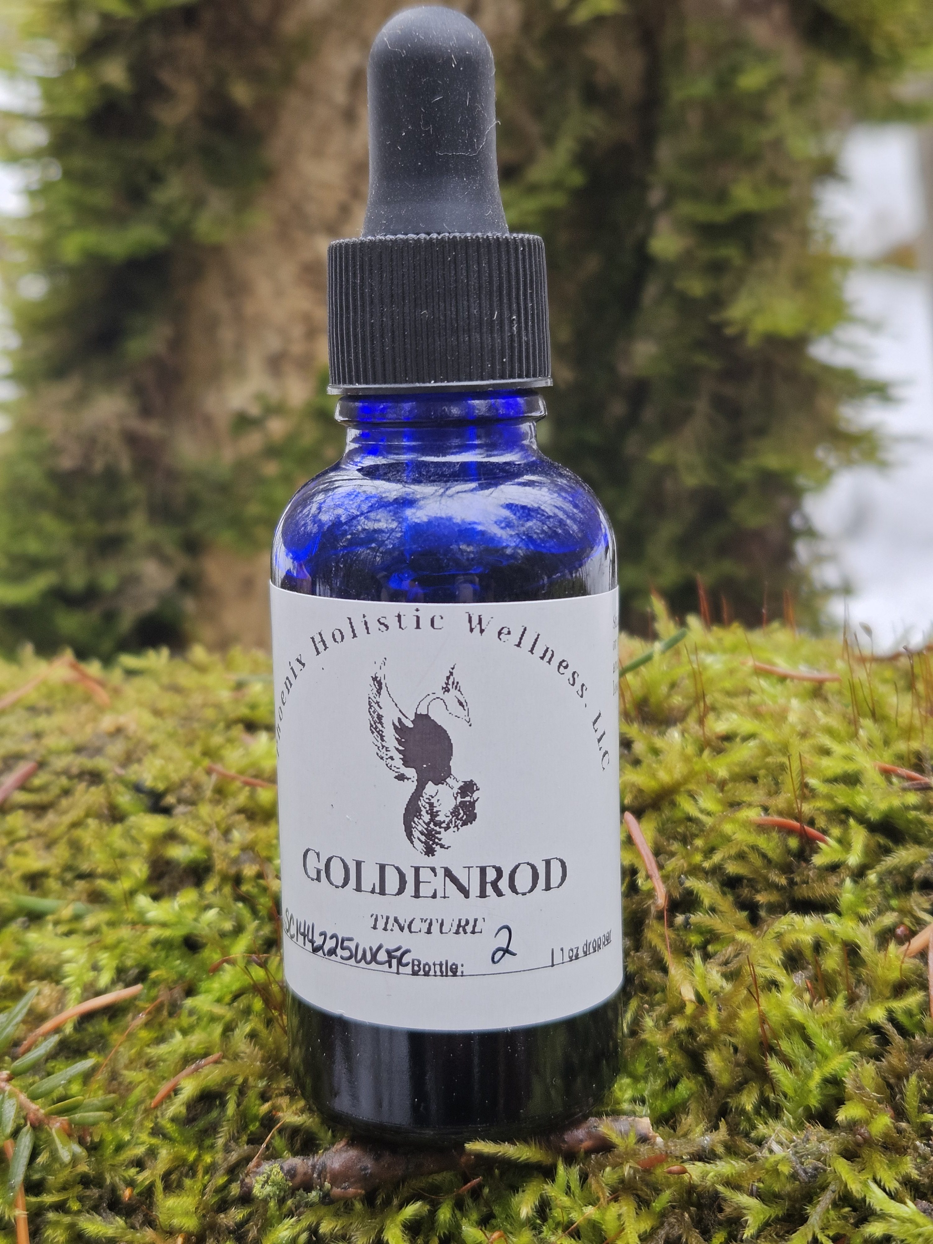 Goldenrod Tincture- 1oz - Image 1