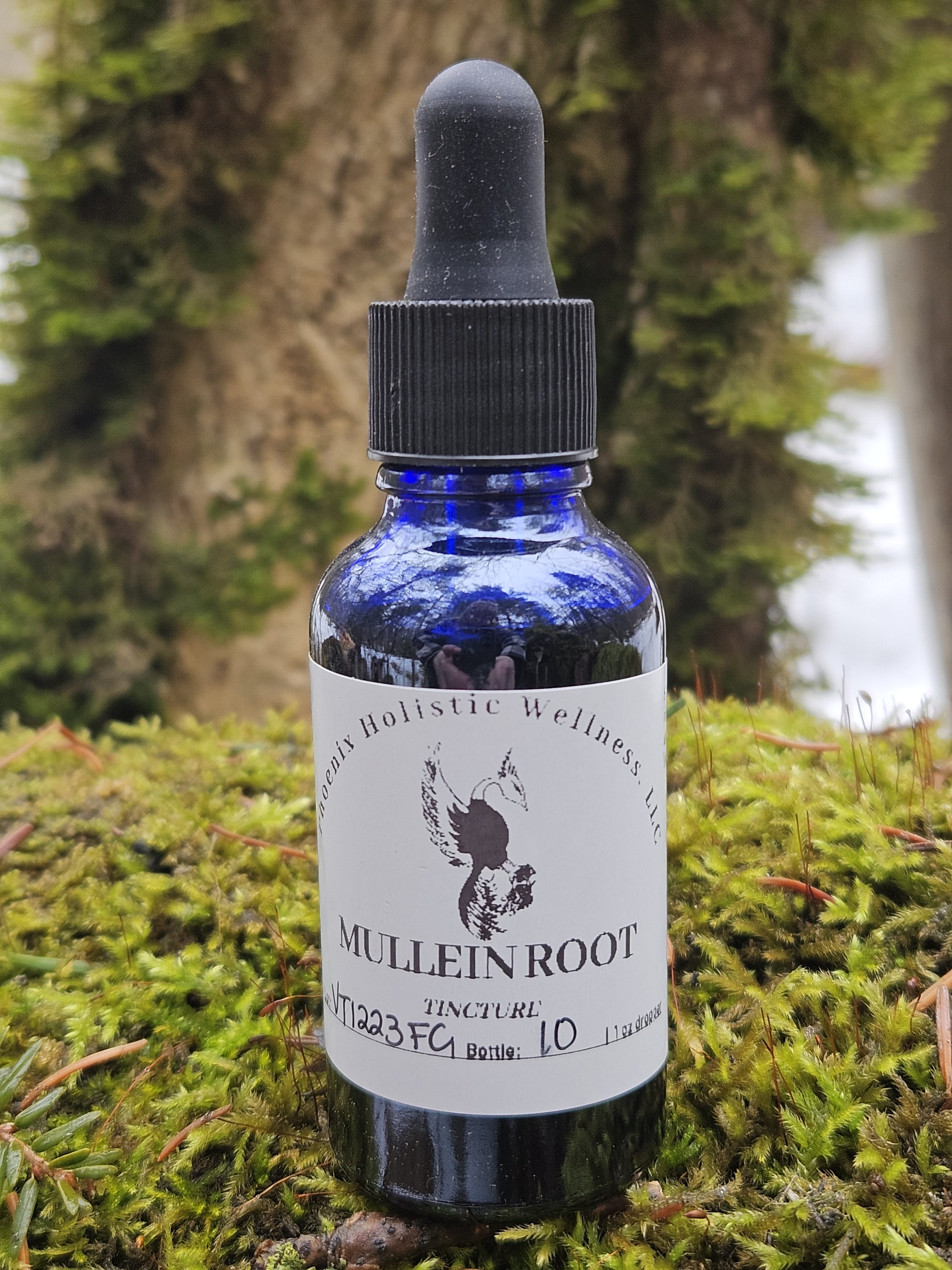 Mullein Root Tincture- 1oz - Image 1