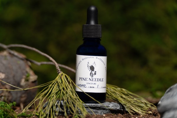 Pine Needle Tincture- 1oz